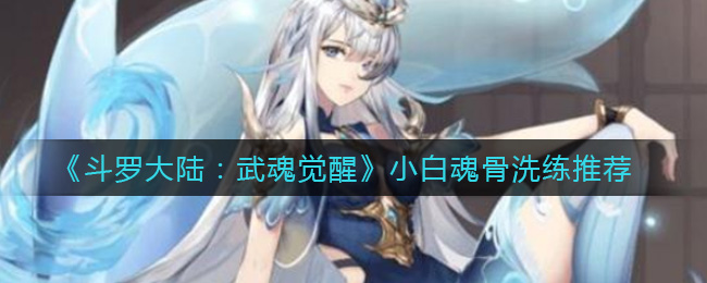 《斗罗大陆：武魂觉醒》小白魂骨洗练推荐