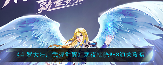 《斗罗大陆：武魂觉醒》寒夜拂晓9-3通关攻略