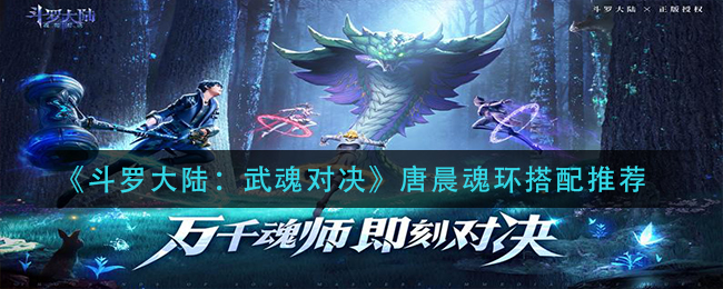 《斗罗大陆：武魂对决》唐晨魂环搭配推荐