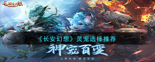 /handbook/2026/03-03/1113910.shtml