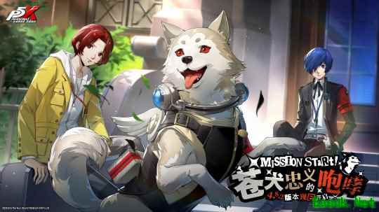 苍犬忠义的咆哮《女神异闻录：夜幕魅影》4.8.2版本今日上线