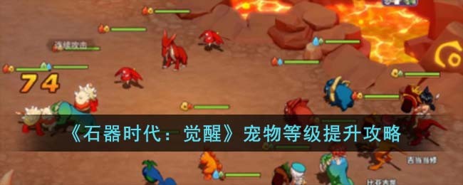 《石器时代：觉醒》宠物等级提升攻略