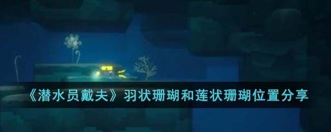 《潜水员戴夫》羽状珊瑚和莲状珊瑚位置分享