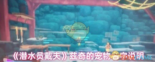 《潜水员戴夫》兹奇的宠物名字说明