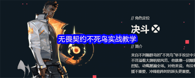 无畏契约不死鸟实战教学