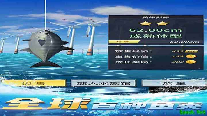 钓鱼达人进阶技巧：掌握鱼群与装备 secrets