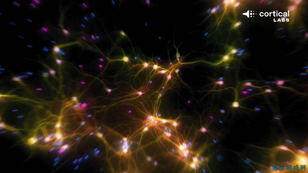 震惊！芯片上的人脑细胞一周内学会了玩《毁灭战士》