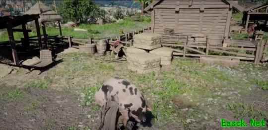 《红色沙漠》更多玩法  可建造家园种地养殖