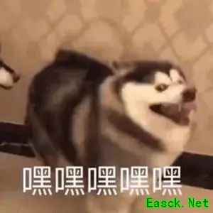 五行师萌新攻略：土木妖与三系快