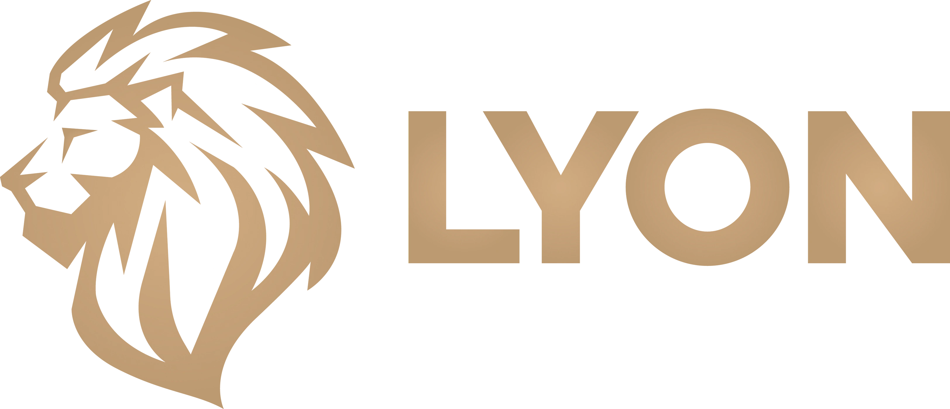 《LOL》2026LYON战队介绍