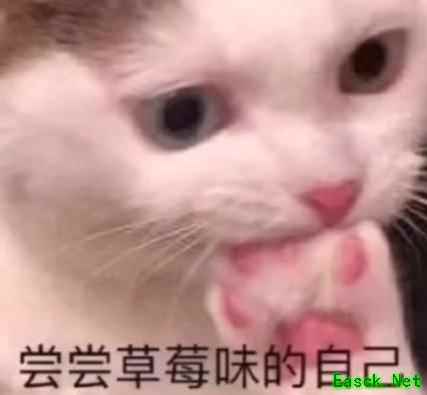 末日远征0氪白嫖指南