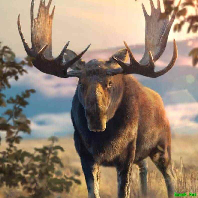 巨驼鹿觉醒实力测评