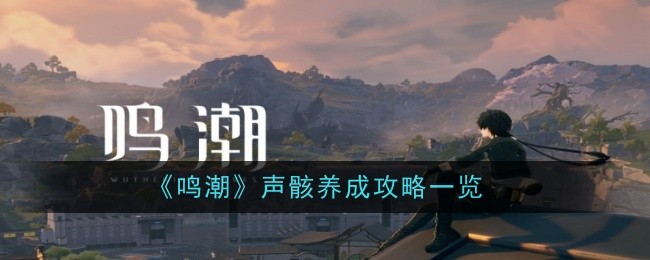 《鸣潮》声骸养成攻略一览