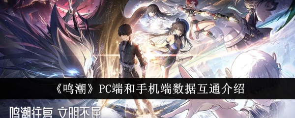 《鸣潮》PC端和手机端数据互通介绍