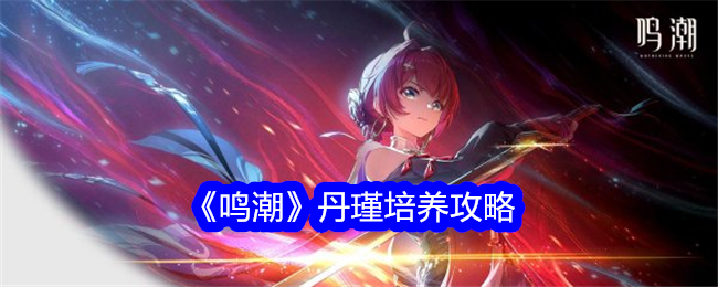 《鸣潮》丹瑾培养攻略