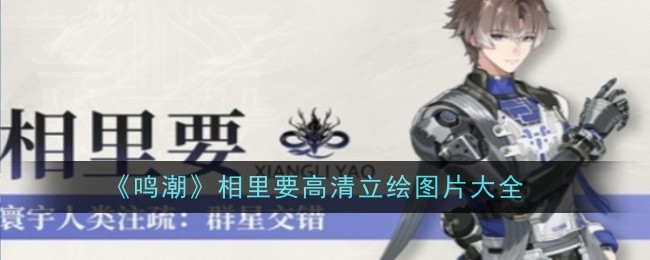 《鸣潮》相里要高清立绘图片大全