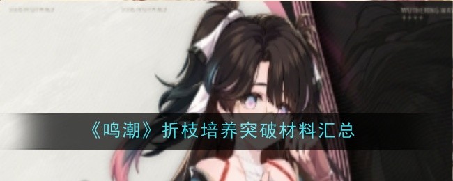 《鸣潮》折枝培养突破材料汇总