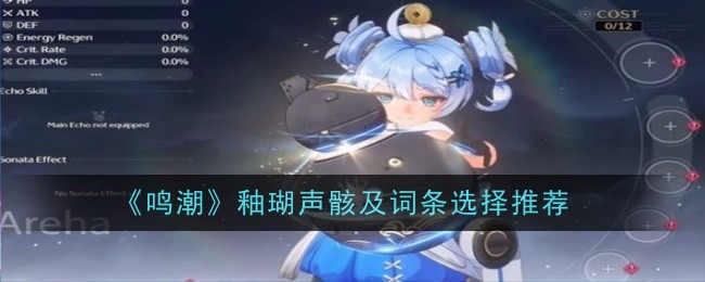 《鸣潮》釉瑚声骸及词条选择推荐