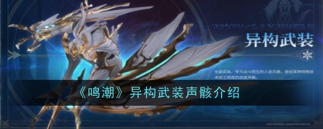 《鸣潮》异构武装声骸介绍