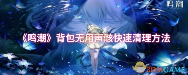《鸣潮》背包无用声骸快速清理方法