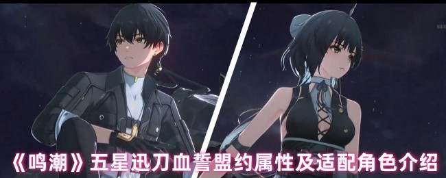 《鸣潮》五星迅刀血誓盟约属性及适配角色介绍