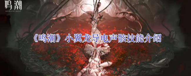 《鸣潮》小翼龙导电声骸技能介绍