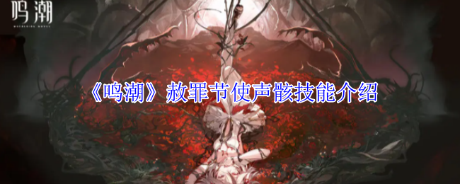 《鸣潮》赦罪节使声骸技能介绍