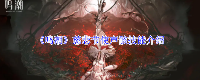 《鸣潮》慈悲节使声骸技能介绍