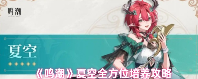 《鸣潮》夏空全方位培养攻略