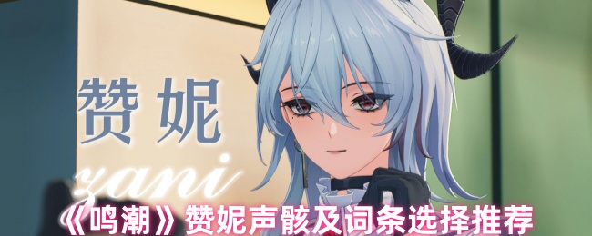 《鸣潮》赞妮声骸及词条选择推荐