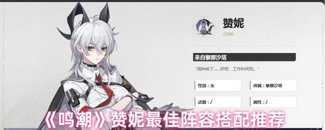 《鸣潮》赞妮最佳阵容搭配推荐