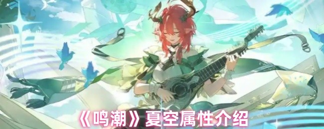《鸣潮》夏空属性介绍