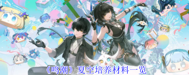 《鸣潮》夏空培养材料一览