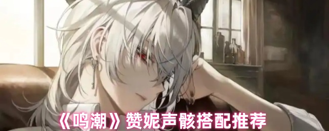 《鸣潮》赞妮声骸搭配推荐