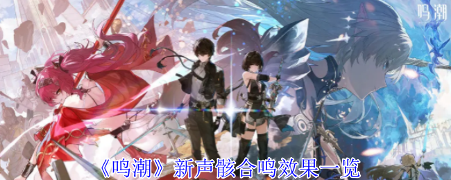 《鸣潮》新声骸合鸣效果一览