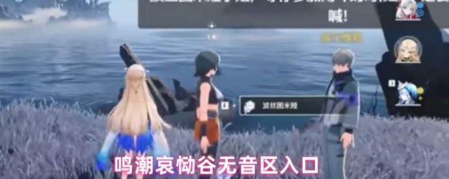 鸣潮哀恸谷无音区入口