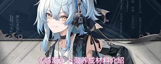 /handbook/2026/03-18/1125132.shtml