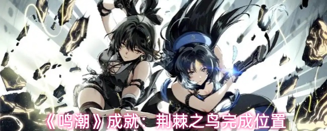 《鸣潮》成就：荆棘之鸟完成位置
