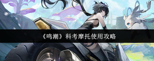 /handbook/2026/03-18/1125186.shtml