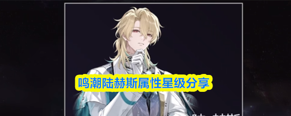 鸣潮陆赫斯属性星级分享