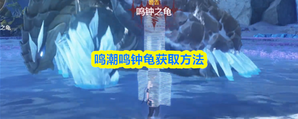 鸣潮鸣钟龟获取方法