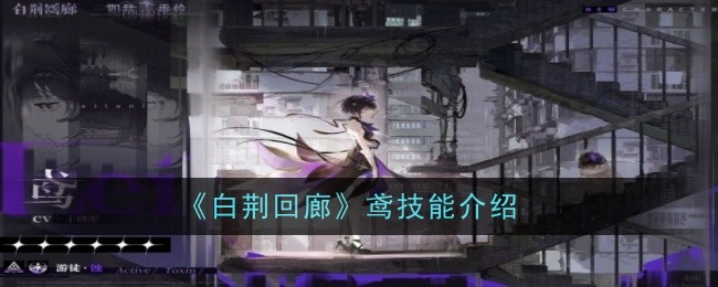 《白荆回廊》鸢技能介绍