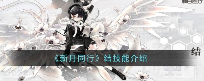 《新月同行》结技能介绍