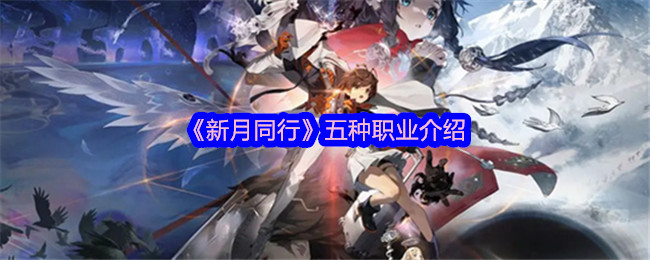 《新月同行》五种职业介绍