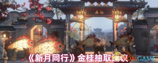 《新月同行》金桂抽取建议