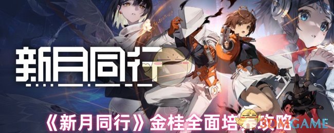 《新月同行》金桂全面培养攻略