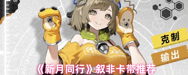 《新月同行》叙非卡带推荐