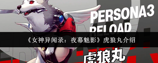《女神异闻录：夜幕魅影》虎狼丸介绍