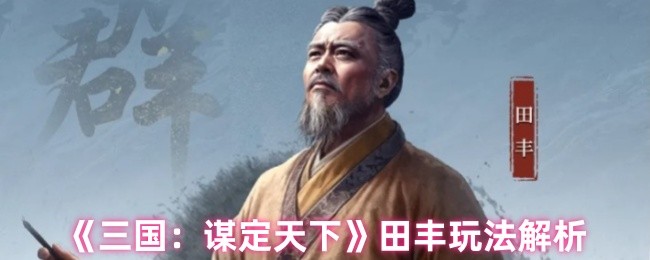 《三国：谋定天下》田丰玩法解析