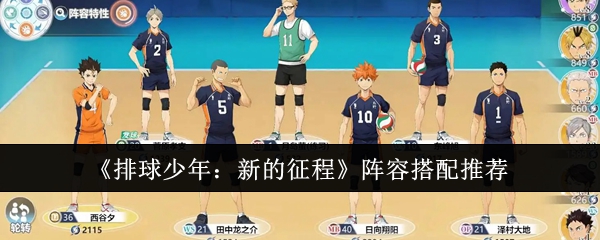 《排球少年：新的征程》阵容搭配推荐